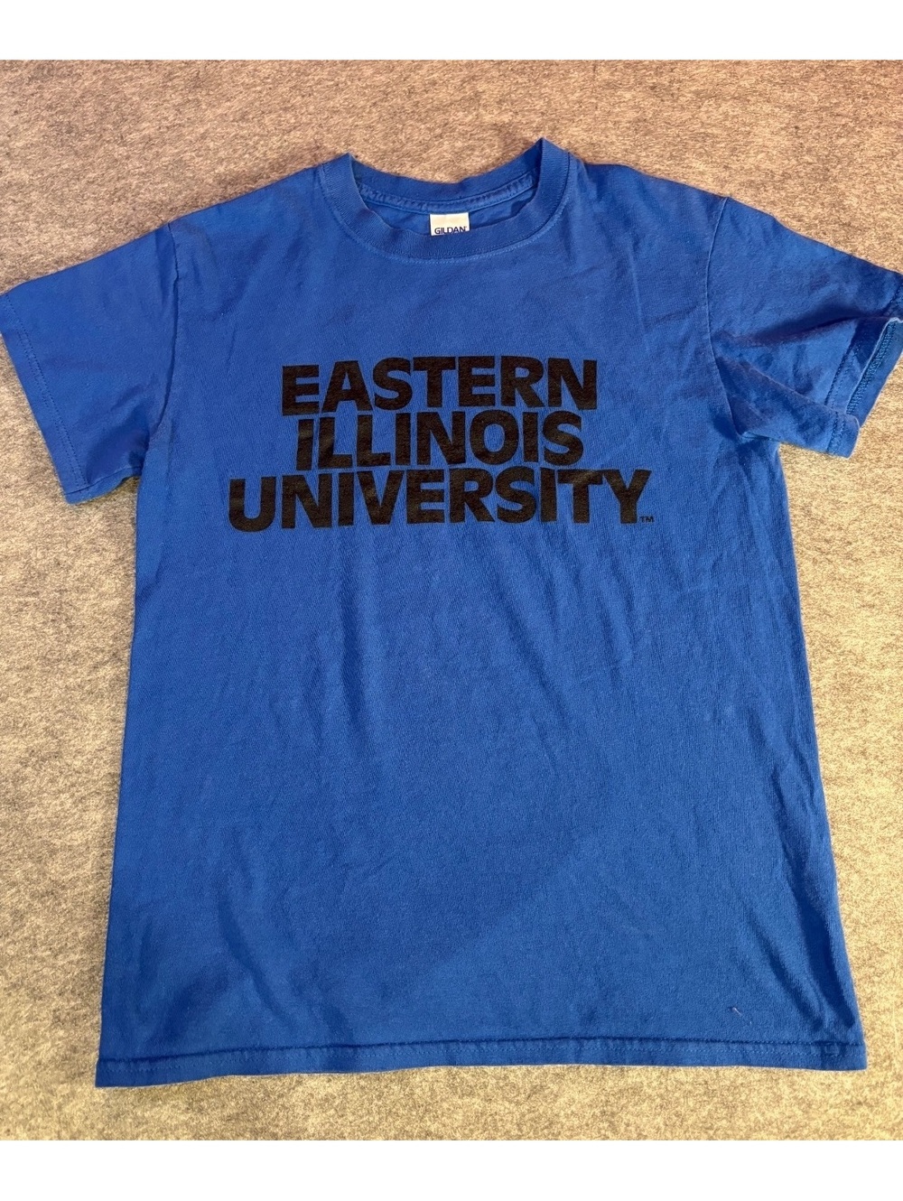 Vintage Gildan Eastern Illinois University Blue T-Shirt Size Small